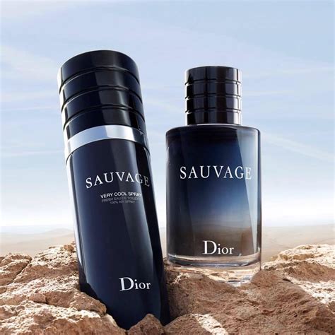 sauvage very cool spray dior|dior sauvage deodorant spray.